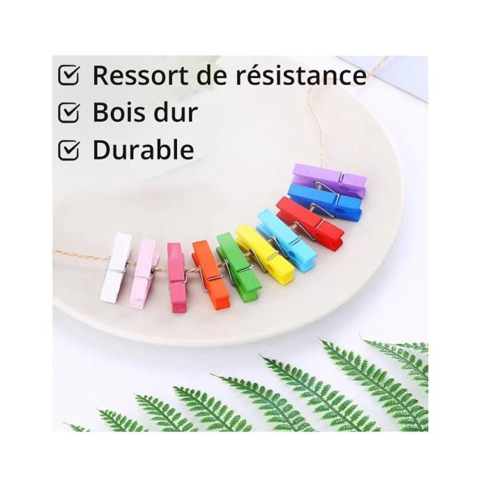 Lot De 30 Pinces à Linge Coupe-vent - Pour Chapeaux, Sous-vêtements, Chaussettes, Avec Panier Rangement
