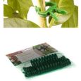 20 Clips pour plantes tuteur clip plante collier lien-0