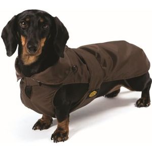 Manteau Imperméable Pour Teckel à Corps Long - Coupe-vent, Réglable, Avec Poche - Beige Taille L - Pour Extérieur Hiver Et Pluie