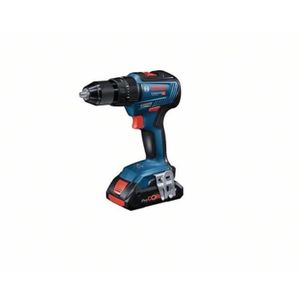 Kit professionnel 18V Bosch Professional perceuse-visseuse sans fil +  marteau perforateur avec 2x batteries (4,0Ah), chargeur et 2x L-BOXX 136 -  HORNBACH Luxembourg