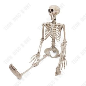 Jago® Modèle Anatomique du Squelette Humain - 181,5 cm, Grandeur Nature,  sur Roulettes, Graphique d'Enseignement, Crâne Ouvrant