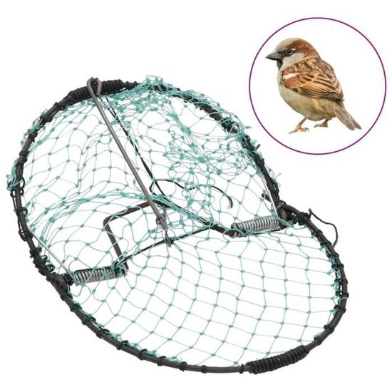 Piege A Oiseaux Securise Et Durable