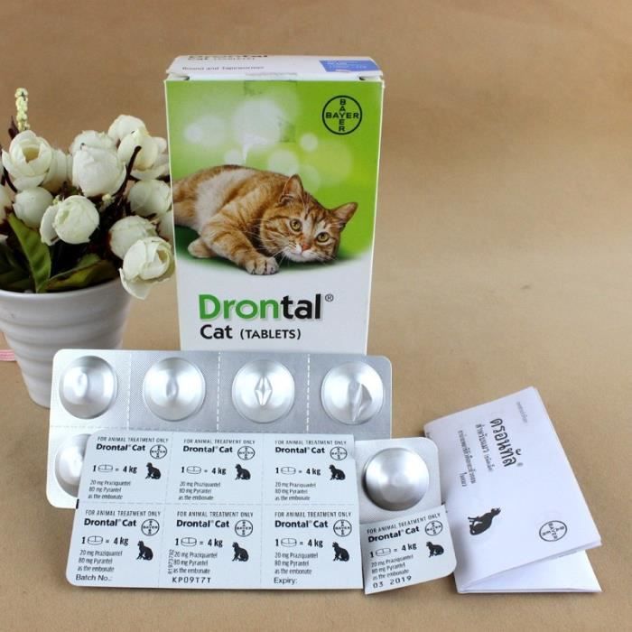 Collier bandana,Bayer Drontal Plus pour chats 40 comprimés great dane - Type 40 tablets