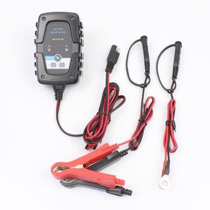 Chargeur intelligent de chargeur de batterie automatique de 6V 12V 1A pour le scooter de moto de voiture avec la prise d'UE la12274