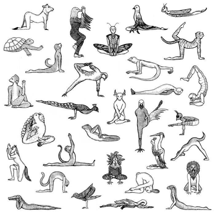 Poster Affiche Yoga Animaux Dessin Asanas Art Meditation 31cm x 31cm