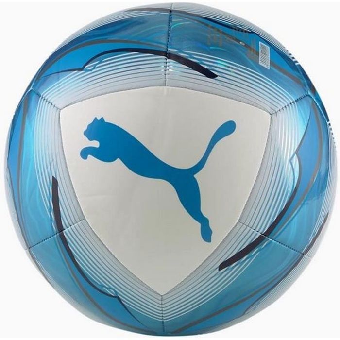 Ballon Officiel Puma OM Olympique de Marseille T5 Blanc et Bleu