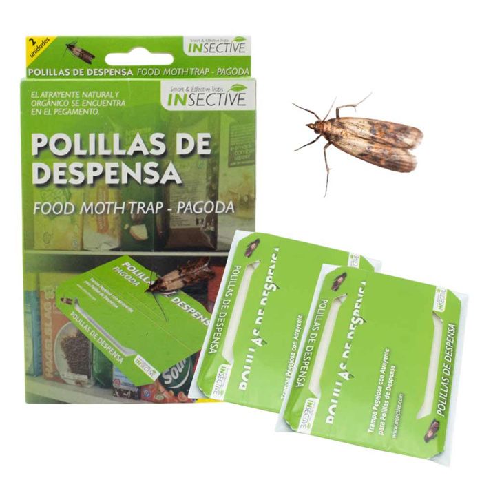 2 pièges pour mites alimentaires - INSECTIVE