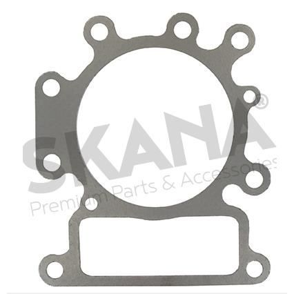 Guarnizione Testa Cilindro Briggs & Stratton 796584