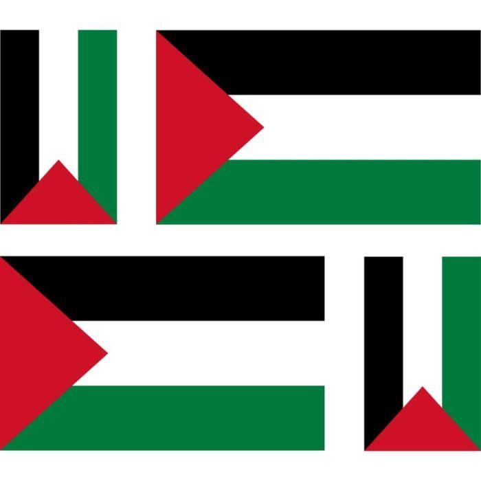 4 autocollant sticker voiture drapeau palestine - Cdiscount Auto