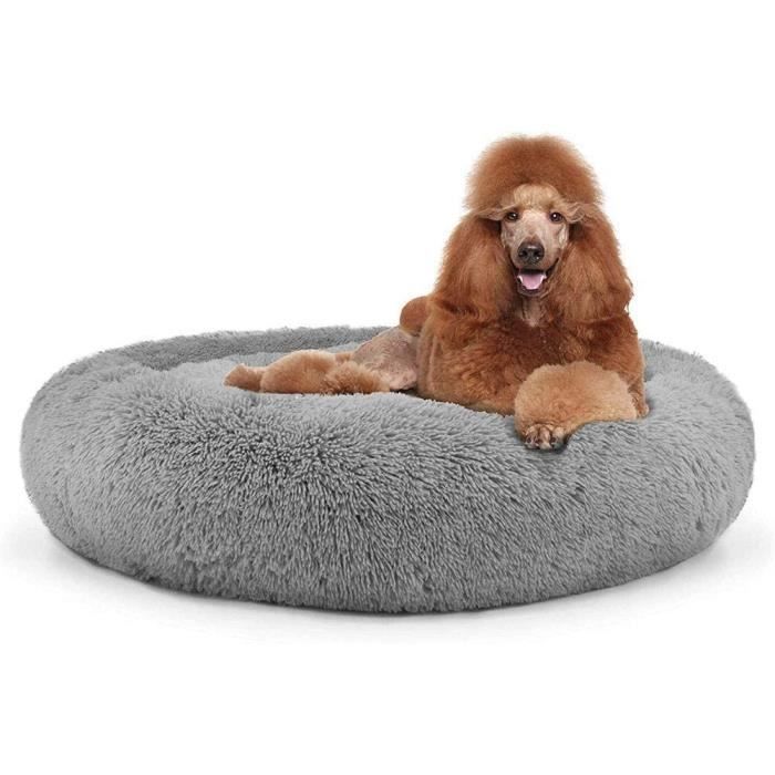 coussin chien xxl