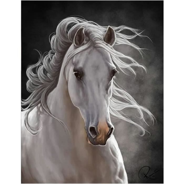 Kit Peinture Diamant 40x75 Cm - Paysage Neige Montagne - Pierres Carrées - DIY Diamant Painting