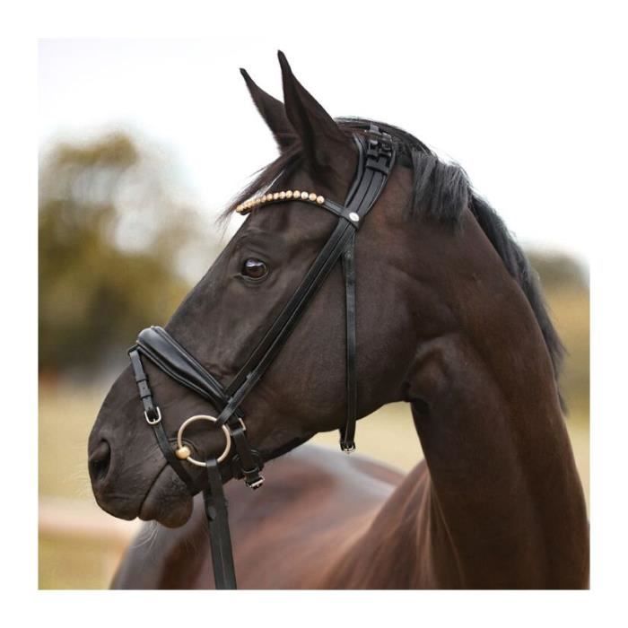 Harnais de conduite en nylon pour cheval unique | Enseble de harnais