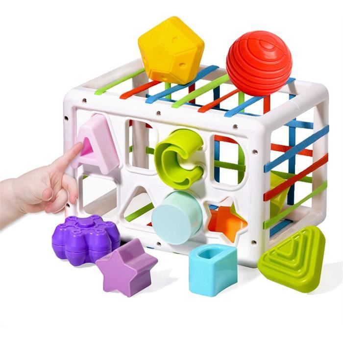 Jeux Montessori Bébé pour Les 12 18 Mois, Trieur de Forme Jouet