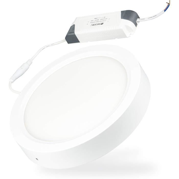 Plafonnier LED Connecté Rond 24W Variation De Couleur Et Luminosité