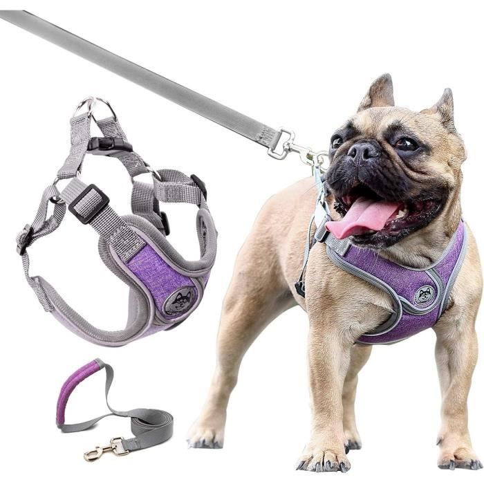 Animaux collier,Blue flag-M--Collier pour animaux de compagnie, imprimé