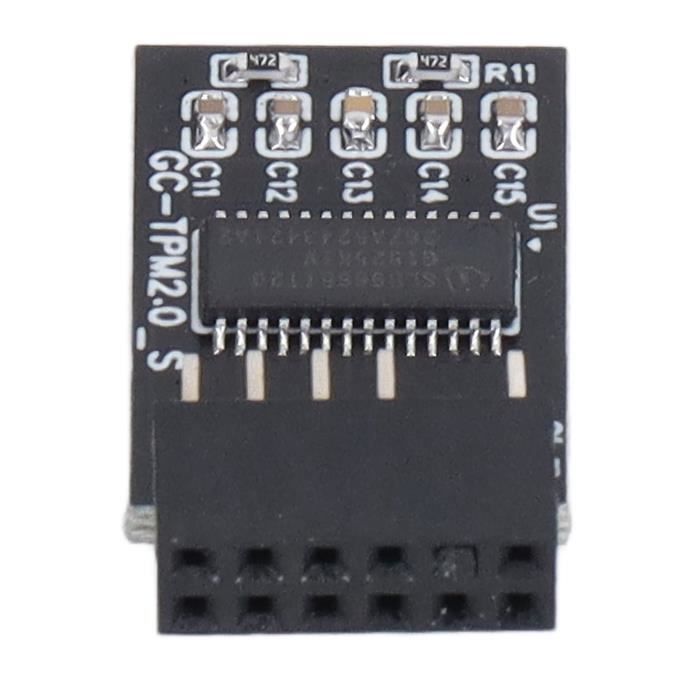 BEL-7643670042074-Module Lpc Tpm Accessoire De Carte De Sécurité De Cryptage De Carte À Distance Tpm 2.0 Module Lpc Spi 12Pin Pour