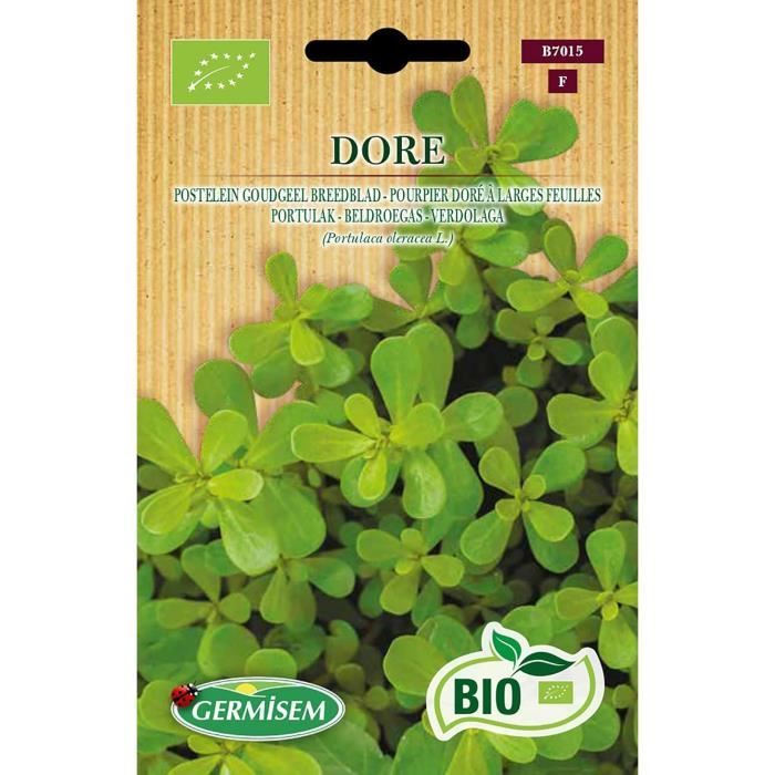 Graines De Fève AGUADULCE Bio Germisem | Fèves à Très Longues Gousses | Semis Précoce - 8