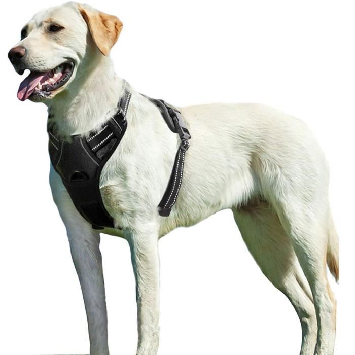 Meilleurs prix pour Harnais Chien L, Harnais Anti Traction pour Chien, Facile à Mettre, avec Poignée Contrôle, Arnet pour Chien Réfléchissant,