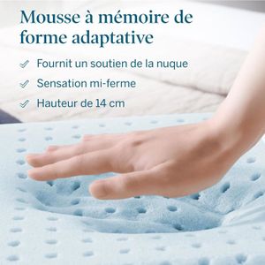 Coussin à Mémoire De Forme Avec Gel Rafraîchissant Avilia 50x30 Cm - Confort Ergonomique Blanc Et Bleu
