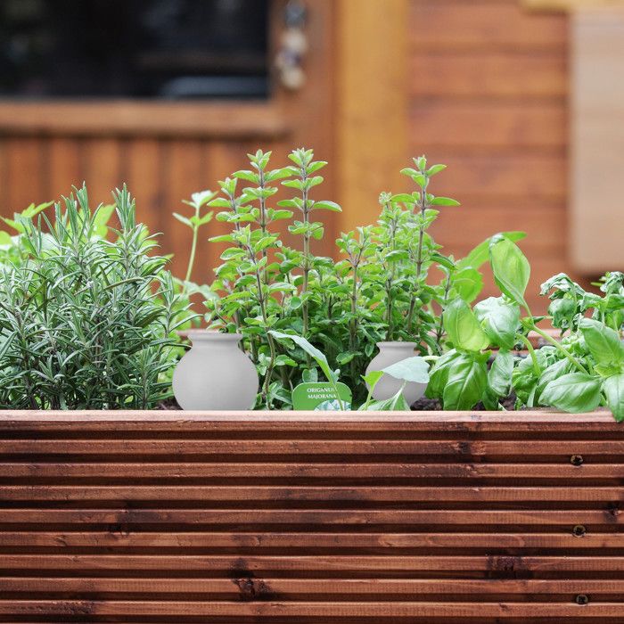 Lot De 6 Cônes D'Arrosage Automatique En Terre Cuite Relaxdays - Pour Plantes Intérieur & Extérieur Vacances