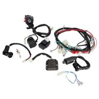 FUNNING-RAN Accessoires de moto Accessoire d'assemblage CDI de fil de faisceau de câblage électrique pour VTT QUAD 200-300cc