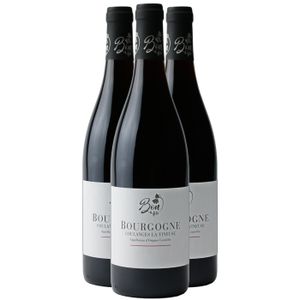 VIN ROUGE Domaine Bon et Fils Bourgogne Coulanges-la-Vineuse