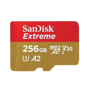 CARTE MÉMOIRE Carte microSDXC SanDisk Extreme 256 Go pour jeux s