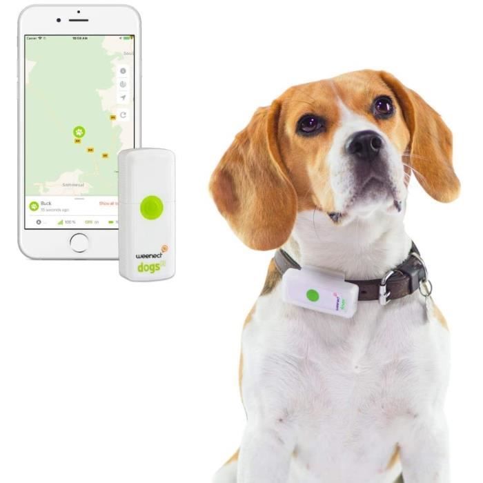 Weenect Dogs 2 - Le plus petit collier GPS pour chien au monde