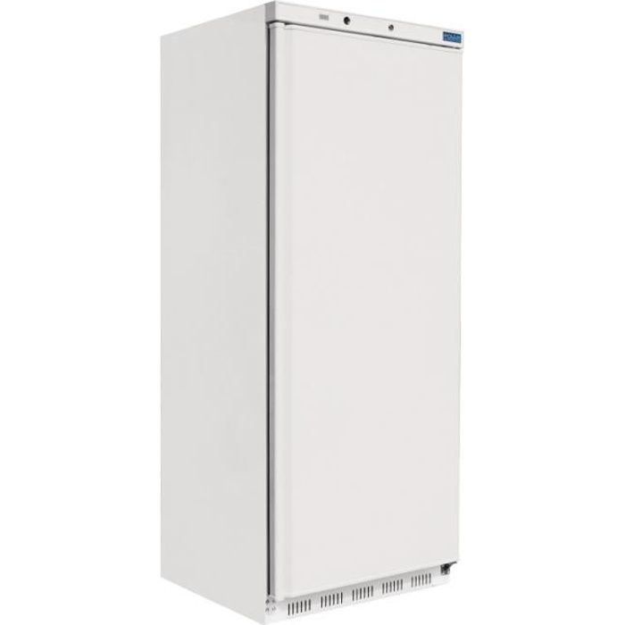 Armoire négative 1 porte 600 litres