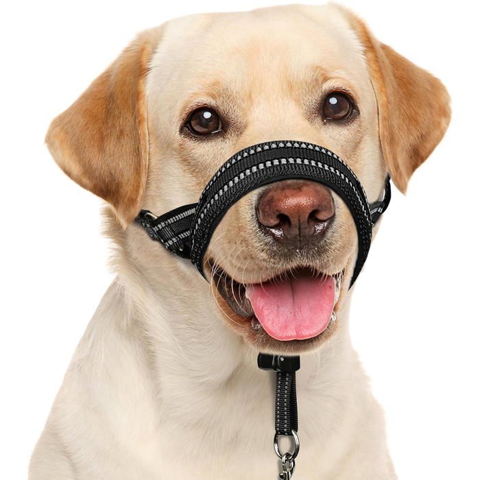 Licol pour chien anti-traction taille M rembourré réglable et réfléchissant