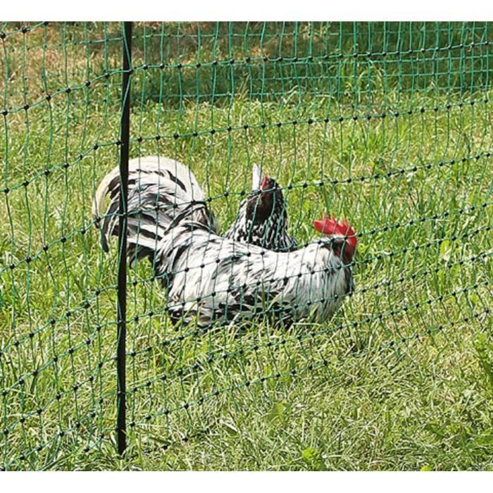 Filet poules 50m double pointe PoultryNet - Cdiscount