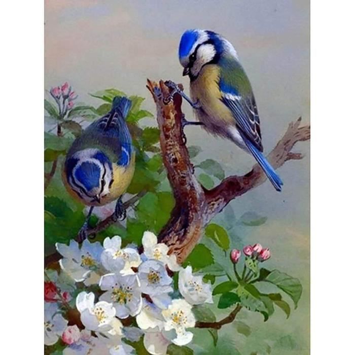 Peinture au Numero DIY Oiseau Paint by Number Kit Peinture Par Numéros ...