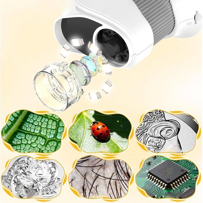 Microscope Numérique GRIRDDIV 1000X Pour Enfants – Écran IPS 2