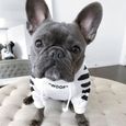 B-S -Mode chien à capuche hiver chien vêtements pour chiens manteau veste coton bouledogue français vêtements pour chiens animaux-3