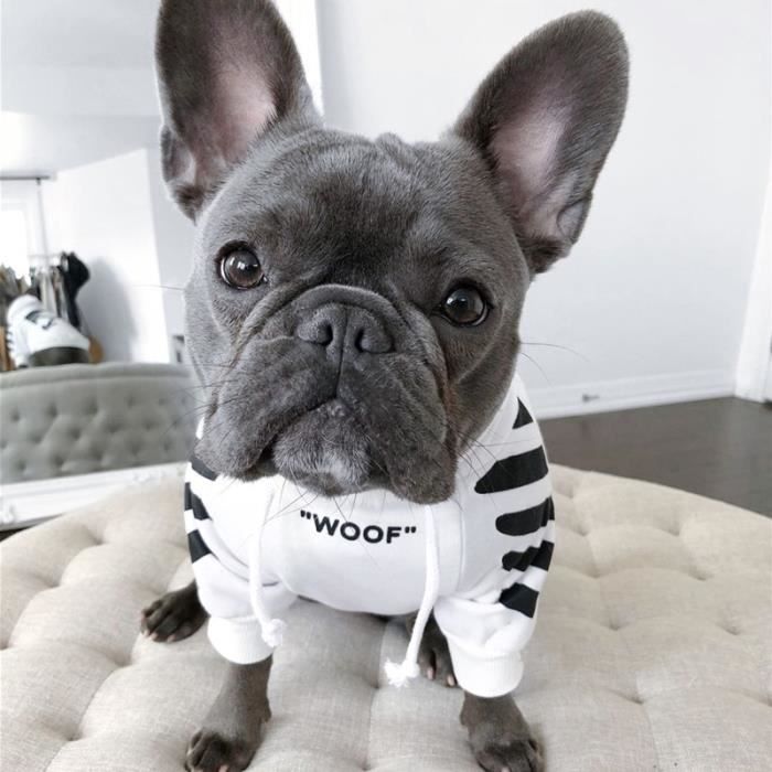 Manteau top pour bouledogue