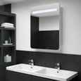 Armoire de salle de bain-Meuble de salle de bain Armoire de rangement Meuble lavabo évier à miroir LED 60x11x80 cm-0