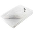 Bache de protection 5x10m