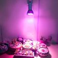 E27 LED lampe de culture LED élèvent Lumière Lampe pour culture de plantes d’intérieur-0