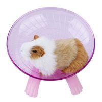 SURENHAP Spinner de roue Roue en plastique Spinner rouleau d'exercice silencieux pour souris Hamster rose animalerie jouet Rose