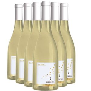 VIN BLANC Côtes Catalanes Sun Drop Blanc 2022 - Bio - Lot de