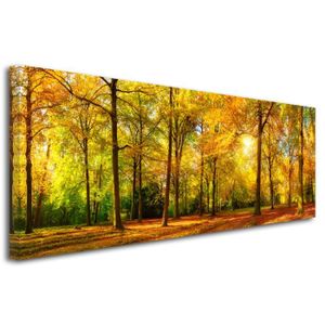 DECLINA, Tableau toile imprimée Paysage, Tableau triptyque Forêt en Automne  , 150x100 cm