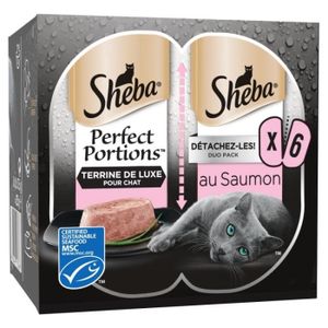 BOITES - PATÉES Perfect Portions Barquettes Terrine Au Saumon pour Chat 225G - Lot De 4