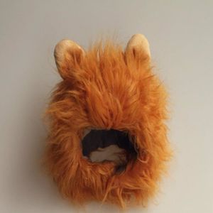 Criniere Lion Chat Cdiscount Criniere Lion Chat Cdiscount