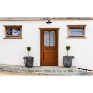 Porte Dentree Bois Exotique 215x90 Poussant Gauche