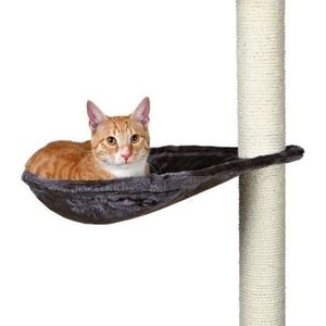 Hamac Pour Arbre A Chat Cdiscount