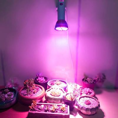 LED Horticole Lampe 400W Lampe De Croissance Et LED Floraison Horticole  Pour Plante Culture Indoor Avec IR UV Lumière-AC 85-265V92 - Cdiscount  Jardin