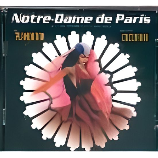 Notre-Dame de Paris フランス語　CD Amazon.co.jp: Notre Dame de Paris: ミュージック