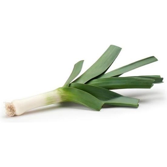 200 graines de poireau legumes jardin potager methode bio cdiscount jardin