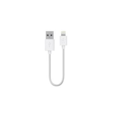 BELKIN Câble de chargeur USB - Compatible Ipad / Iphone / Ipod - 15cm - Blanc