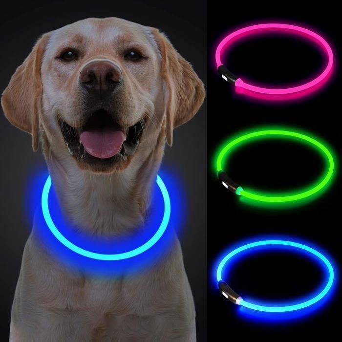 Meilleurs prix pour Collier Pour Chien LED Sécurité Lumineux Rechargeable USB 100mAh Ajustable 70cm,3 Changement Couleur
